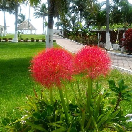 Hotel Mariam تيكولوتلا المظهر الخارجي الصورة