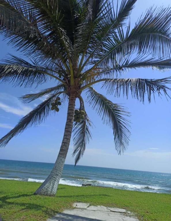 Hotel Mariam تيكولوتلا المظهر الخارجي الصورة
